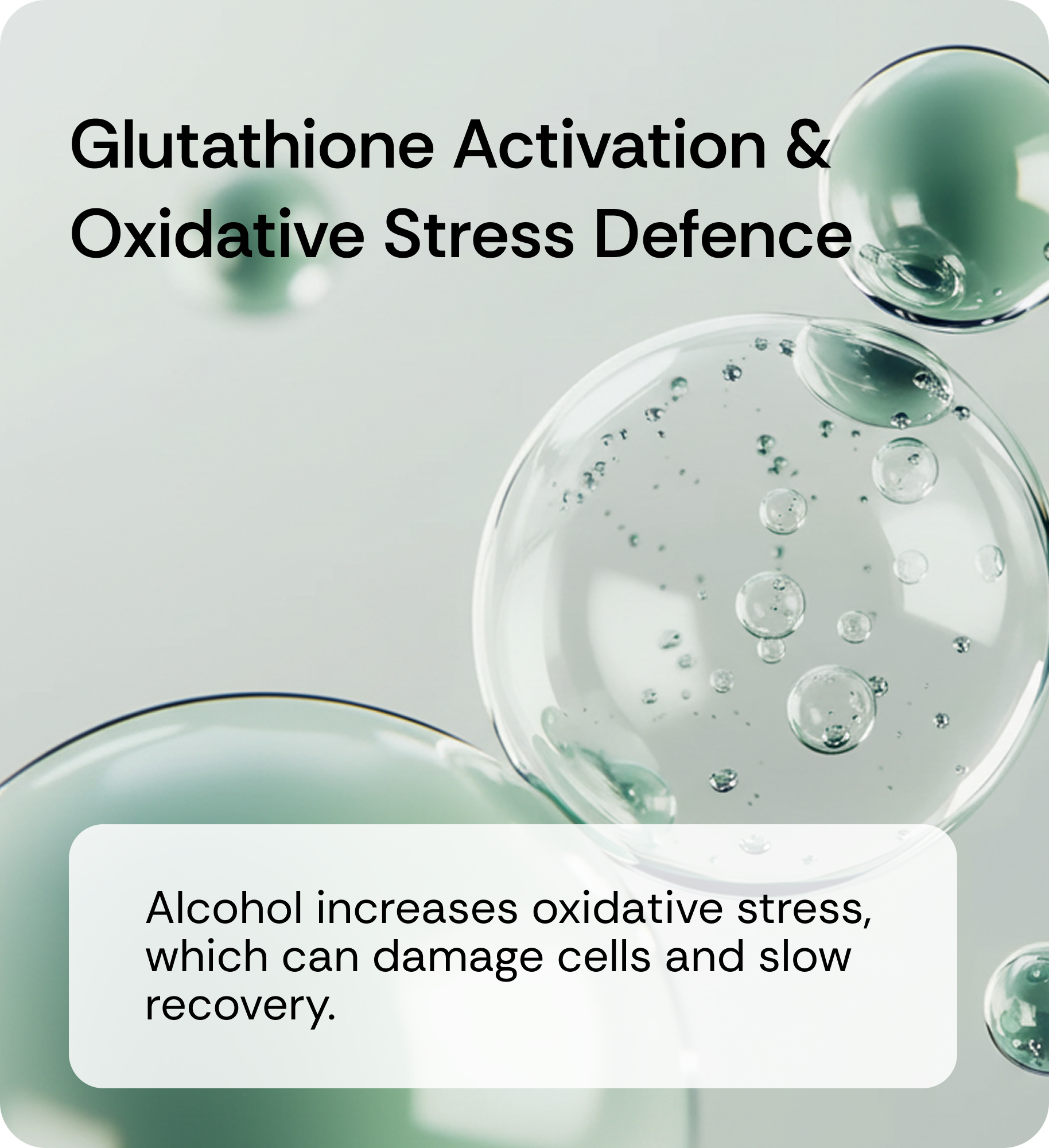 Science-Backed Ingredients